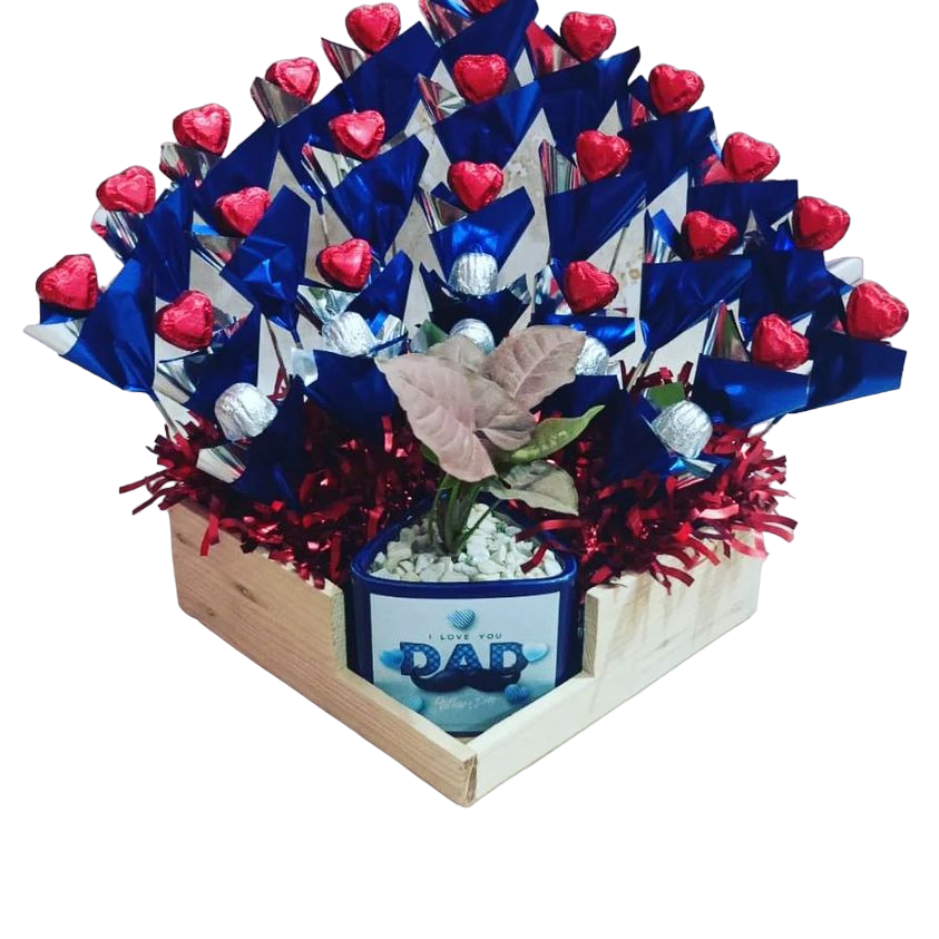 “Dad’s Love” Hamper with Plant